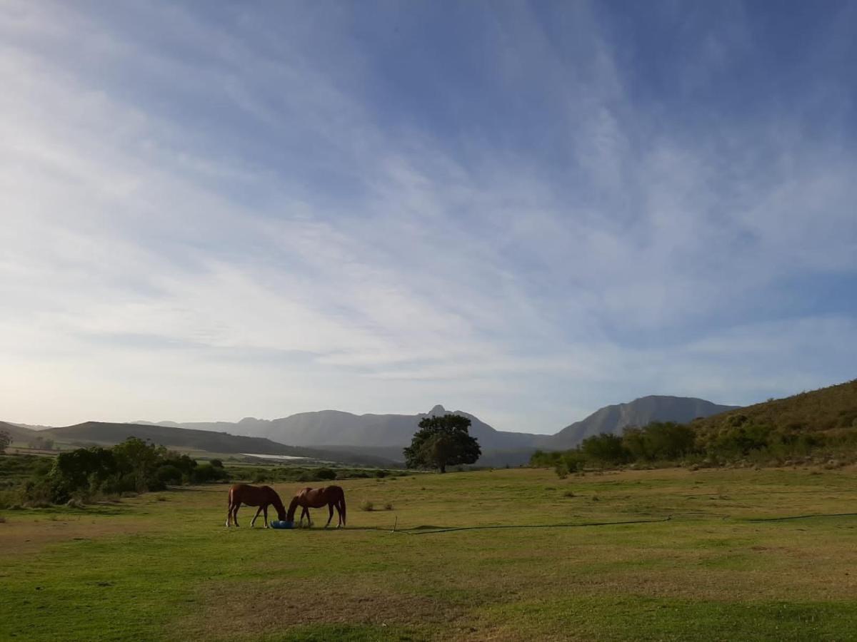 Zeekoegat Historical Homestead Riversdale Esterno foto